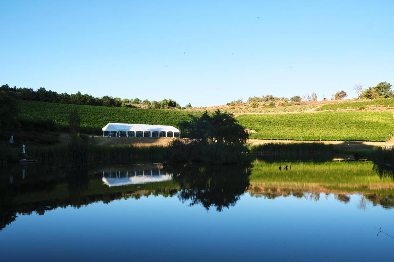 Alluvia Boutique Winery & Luxury Accommodation ステレンボッシュ エクステリア 写真 The vineyard at the winery