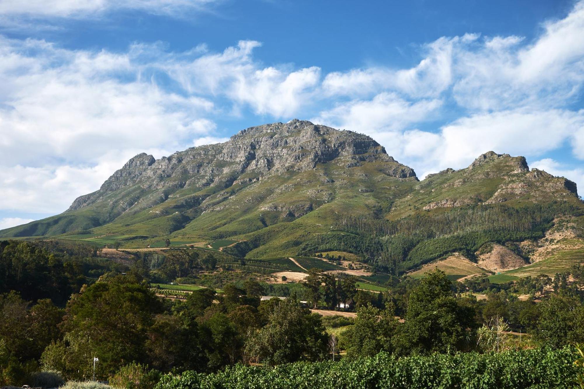 Alluvia Boutique Winery & Luxury Accommodation ステレンボッシュ 部屋 写真 The Helderberg